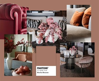 Moodboard Rot Trendfarbe 2025 Innenarchitektur